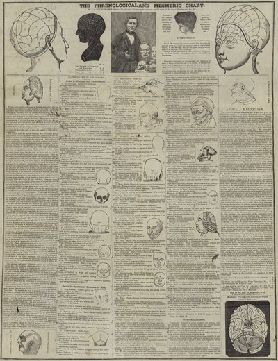 Phrenological和Mesmeric图表 作者 英语学校