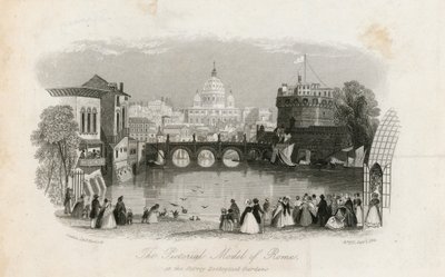 罗马的画报模式和萨里动物园 作者 英语学校