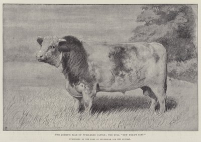 女王出售纯种牛，公牛“新年礼物”，由 Feversham 伯爵以 1000 几内亚（石版画）购买 作者 英语学校