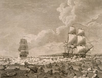 1773年8月10日，由1773年的皇帝司令部执行的一次前往北极的航行中，赛马和胴体强行穿越冰层，于1774年出版伦敦 作者 英语学校