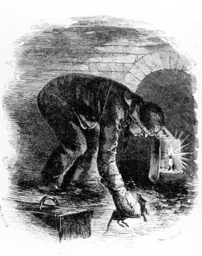 下水道的捕鼠者，亨利·梅休的“伦敦工党和伦敦穷人”插图，1840年代 作者 英语学校