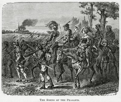 1882年，英国1882年农民的崛起 作者 英语学校