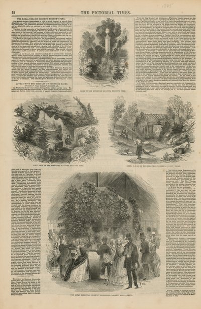 皇家植物园 作者 英语学校