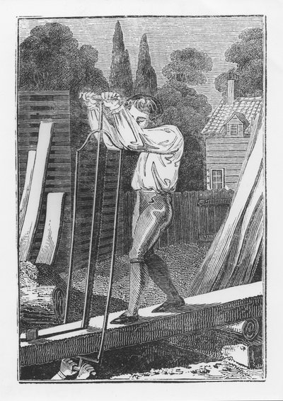 The Sawyer，来自The Young Tradesman或Book of English Trades，1839 作者 英语学校