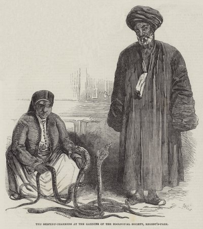 摄政公园动物学会花园的耍蛇人（版画） 作者 英语学校