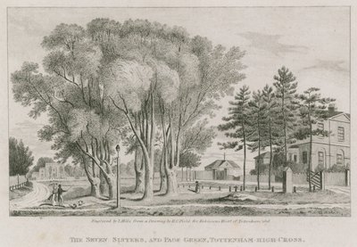 The Seven Sisters和Page Green，Tottenham High-Cross，伦敦 作者 英语学校