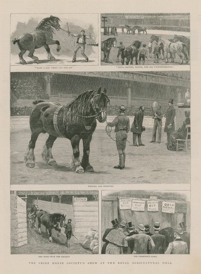 夏尔马协会在皇家农业大厅展示 作者 英语学校