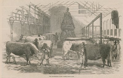 史密斯菲尔德俱乐部牛场展示场 作者 英语学校