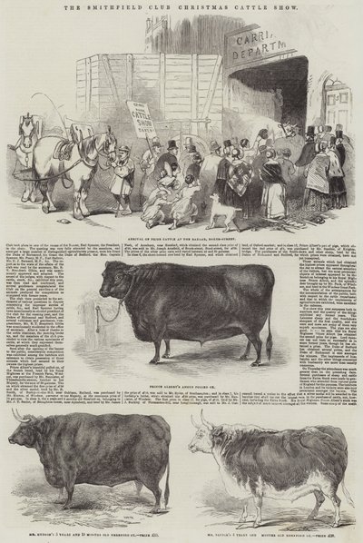 史密斯菲尔德俱乐部圣诞牛展（版画） 作者 英语学校