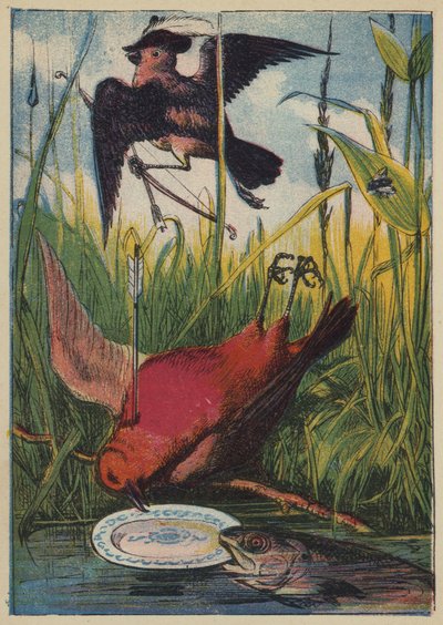 麻雀、公鸡罗宾和鱼（彩色平版画 作者 英语学校