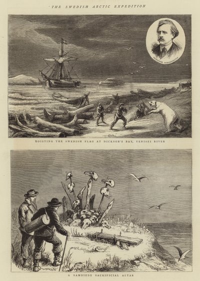 The Swedish Arctic Expedition (engraving) 作者 英语学校