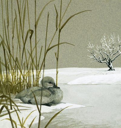 丑小鸭 作者 英语学校