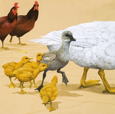 丑小鸭 作者 英语学校