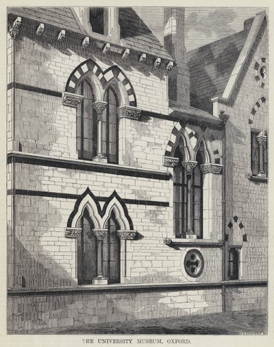 牛津大学博物馆（版画） 作者 英语学校