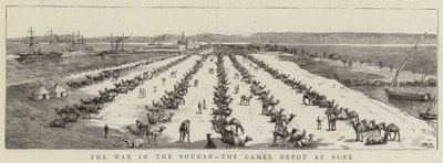 The War in the Soudan, the Camel Depot at Suez (engraving) 作者 英语学校