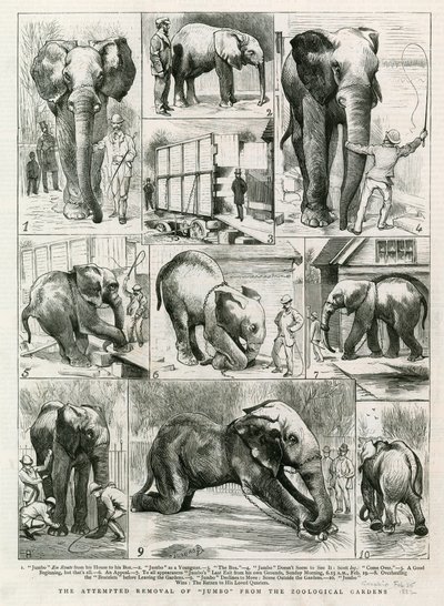 试图从动物园中移除Jumbo 作者 英语学校