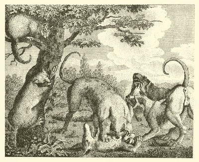 猫与狐狸（雕刻） 作者 英语学校