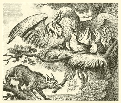 鹰与狐狸（雕刻） 作者 英语学校