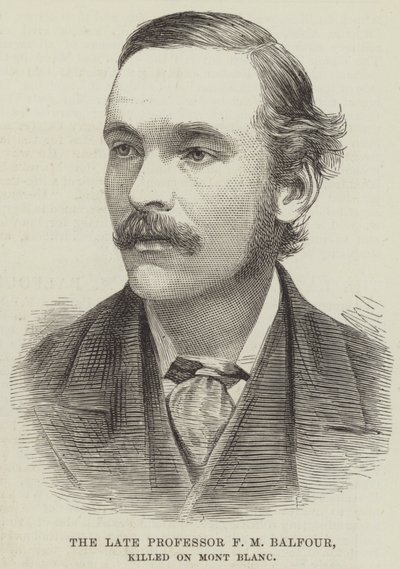 已故的 F M Balfour 教授，在勃朗峰遇难（雕刻） 作者 英语学校