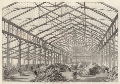 美国植物在Ashburham亭子，Cremorne庭院的展示 作者 英语学校