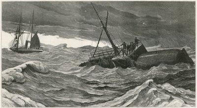 Cleopatras针的航行 作者 英语学校