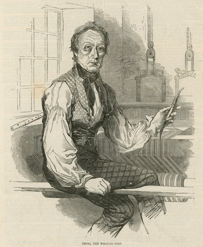 汤姆，织女诗人 作者 英语学校