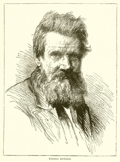 Thomas Edward 作者 英语学校