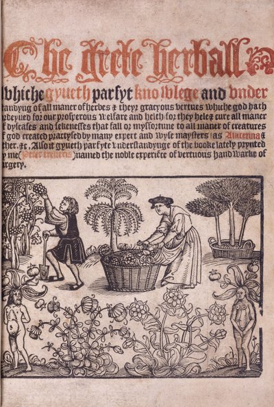 1529年用数字插图的花园场景的标题页 作者 英语学校