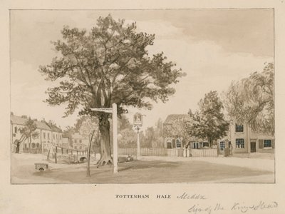 Tottenham Hale，伦敦（纸上写着） 作者 英语学校