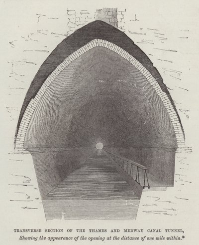 Transverse section of the Thames and Medway Canal Tunnel (engraving) 作者 英语学校
