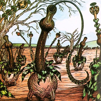 Triffids 作者 英语学校