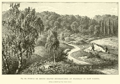 Tumuli或Mound Graves（Hugelgraber）在东加利西亚的Stanislau 作者 英语学校