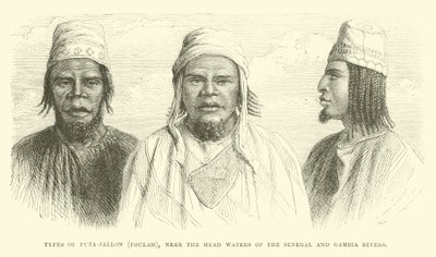 Futa-Jallon，Foulah的类型，靠近塞内加尔和冈比亚河的水域 作者 英语学校