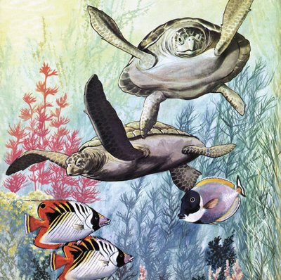 海底世界 作者 英语学校