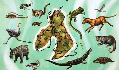 在英国的地图附近的动物身份不明的蒙太奇 作者 英语学校