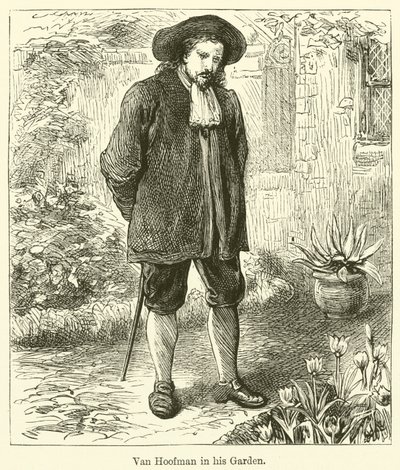 范霍夫曼在他的花园里（雕刻）。 作者 英语学校