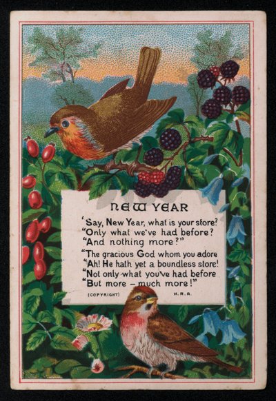 诗歌，浆果和鸟类，新年贺卡。 （色光） 作者 英语学校