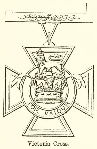 Victoria Cross 作者 英语学校