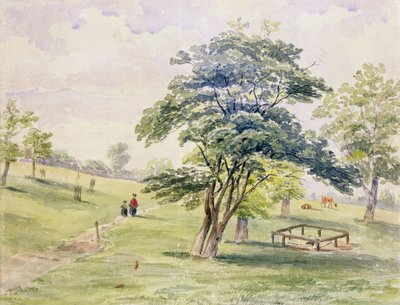 1820年海德公园北部的视图 作者 英语学校