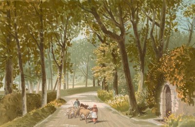 Vinchelez Lane  - 泽西岛 作者 英语学校