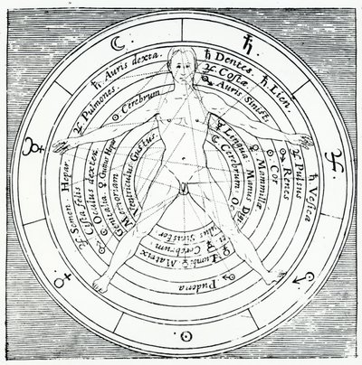 来自Robert Fludd的&39;Utriusque Cosmi Historia&39;的维特鲁威人物，于1617年出版（雕刻） 作者 English School