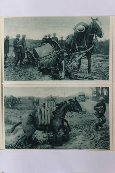 1917年8月，法国北部，战争马在泥浆中沉没 作者 英语学校