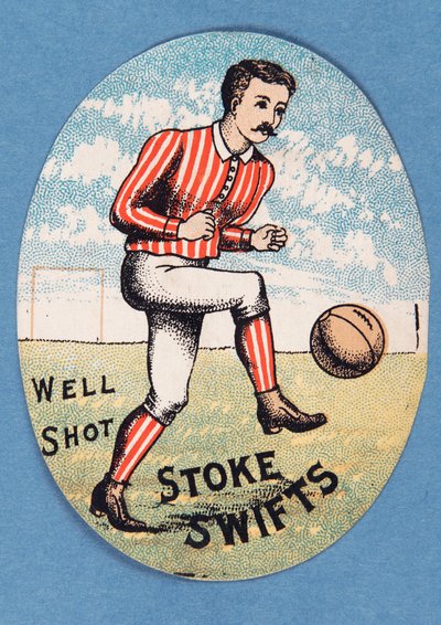 Well Shot Stoke Swifts 作者 英语学校
