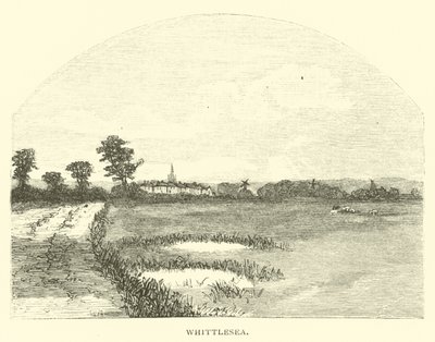 Whittlesea 作者 英语学校