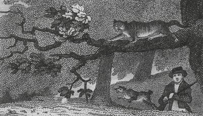 野猫（雕刻） 作者 英语学校