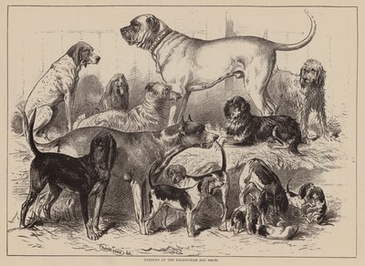 伯明翰犬展获奖者（雕刻） 作者 英语学校