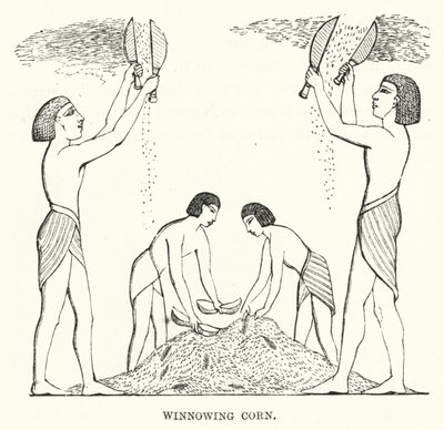 Winnowing Corn (engraving) 作者 英语学校