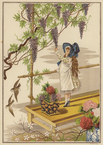 紫藤花（彩色平版） 作者 英语学校