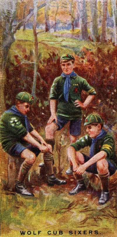 Wolf Cub 76ers，1929年 作者 英语学校