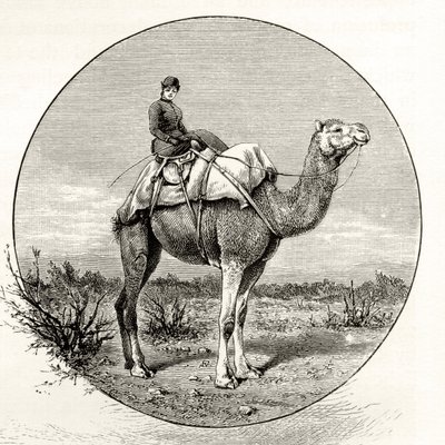 骆驼在澳大利亚的女人，1880年，来自霍华德威洛比的“澳大利亚图片”，由伦敦宗教学会出版，1886年 作者 英语学校